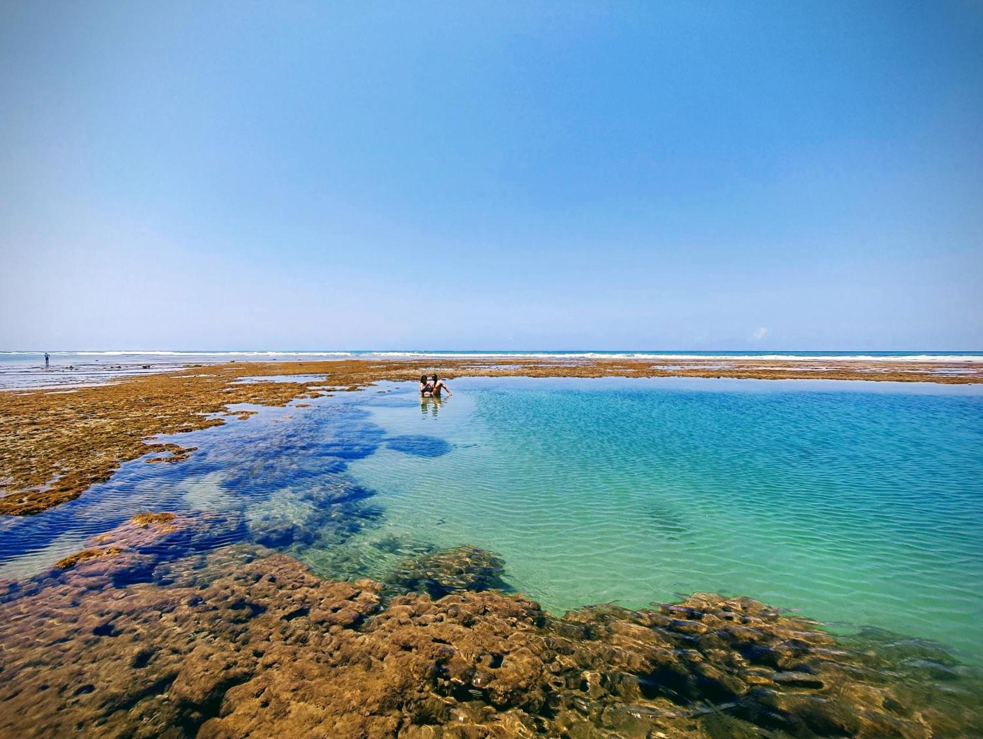 Piscinas Naturais De Praia Do Forte Extérieur photo